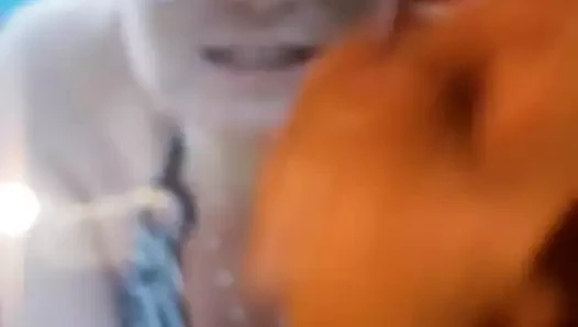 haraç84