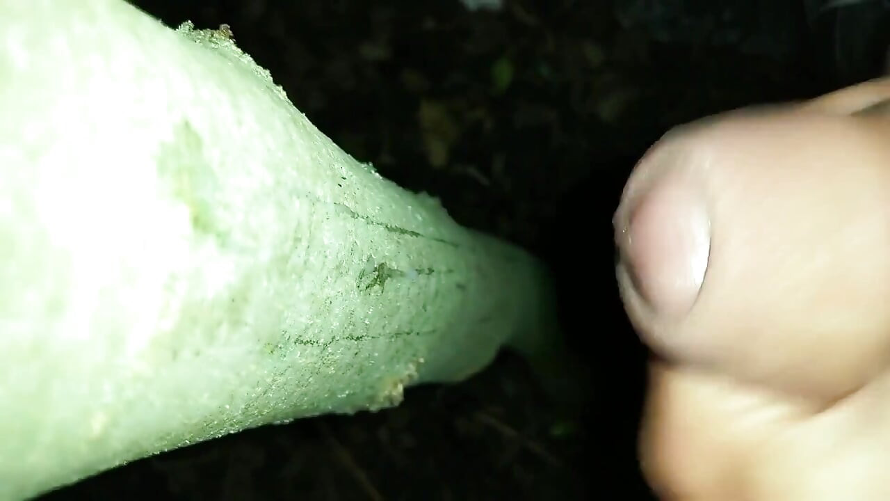 ฉันเพิ่มน้ําเงี่ยนของฉันบน "ล่องเรือต้นไม้น้ําแตก"