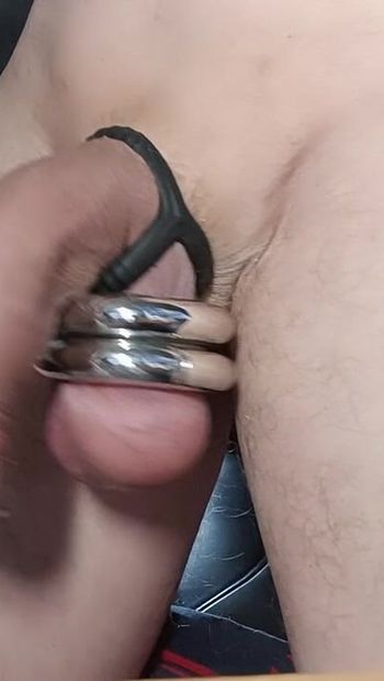 cock with rings balls and PA