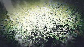 अपने पड़ोसी की भाभी के साथ विवाहेतर संबंध - एपिसोड 1 "