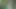 A stranger met a girl in the jungle, and they had a wonderful time exploring together.