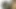 amatör sürtük ev yapımı porno 417
