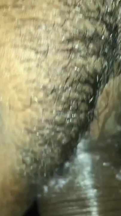 Indian Bhabhi New Sex With Her Debor Full Time Sex | Clip 1