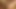 Wild Rawpapi Barebacked Fucked