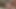 Venezuelalı göt müşteriyle prezervatifsiz seks yapıyor