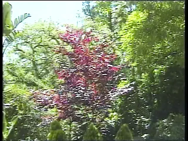 了不起的黑人小妞在游泳池附近的太阳椅上被干