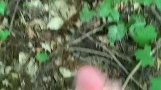 Masturbationen im Wald