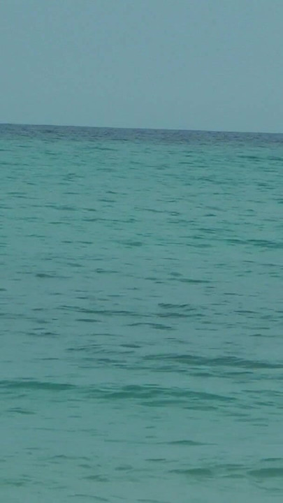 Watching on the beach as Isa has fun | Clip 1