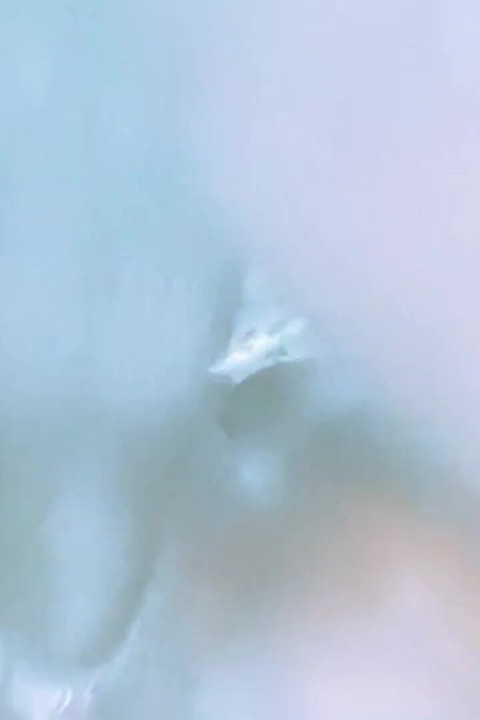 Finally I Fucked My Wife's Best Friend - Tamil Hot Video with Loud Moaning