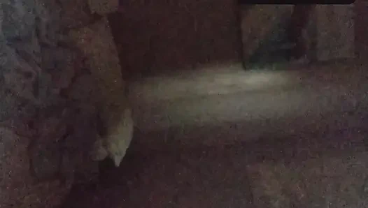 Pro athletes and the C.I.A Chef with some good interracial love.