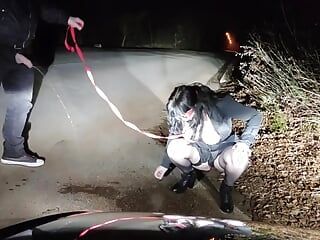 Piss Whore in dog collar receives golden shower and hot cum in her mouth in a public road interrupted by traffic