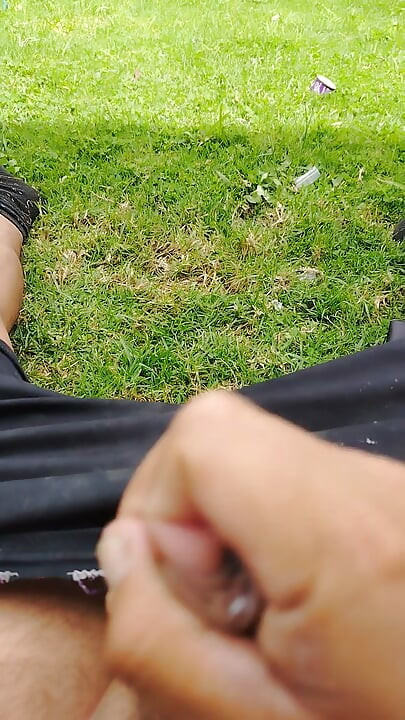 Paja en parque