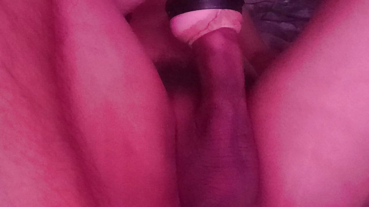 Warm My Milk Day 1645