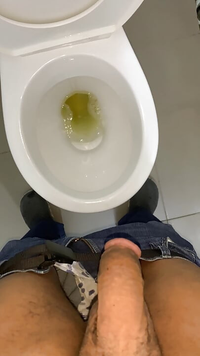 Toilet Jerk off at Work