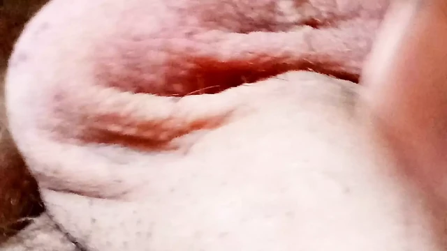 Close-up of a foreskin massage until a lot of cum is sprayed!