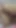 Yeni Desi porno seks videosu | Klip 2