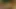 3 D elves, more 3 D in my profile