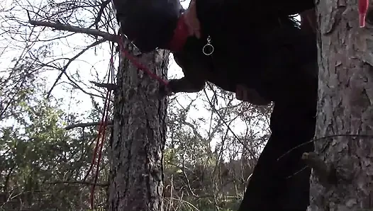 Outdoor-sex im wald. Sexy kleidung und high heels zu tragen, gefesselt, kehlenfick und gefickt