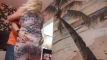 Anteprima video