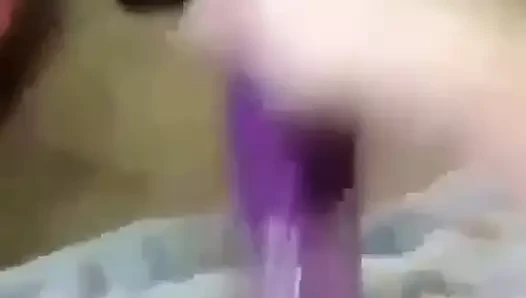 kedi içinde regenschirm