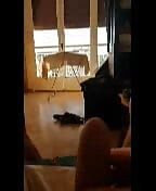 My dick when i'm exciting