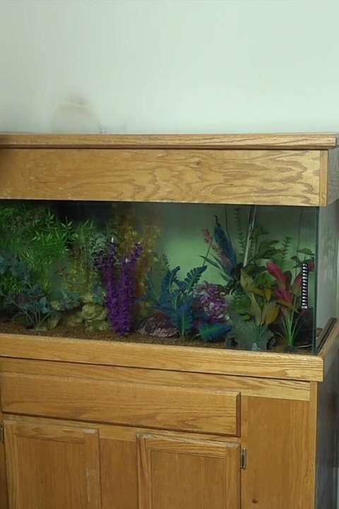 Yardım etmekten mutluluk duyarım