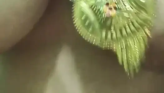 Teman Ibu Dan Aku Berhubungan Seks Dan Bersetubuh