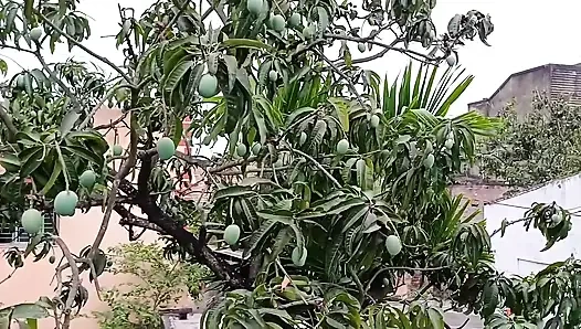 Loan emi ke Badle Bhabhi ji Ne Apne boobs pila diye or Lund ka pani bhi pinliya