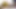 Big Ass Black African Horny Secret Lesbian Mamas Shaking While Fucked By Double headed Dildo