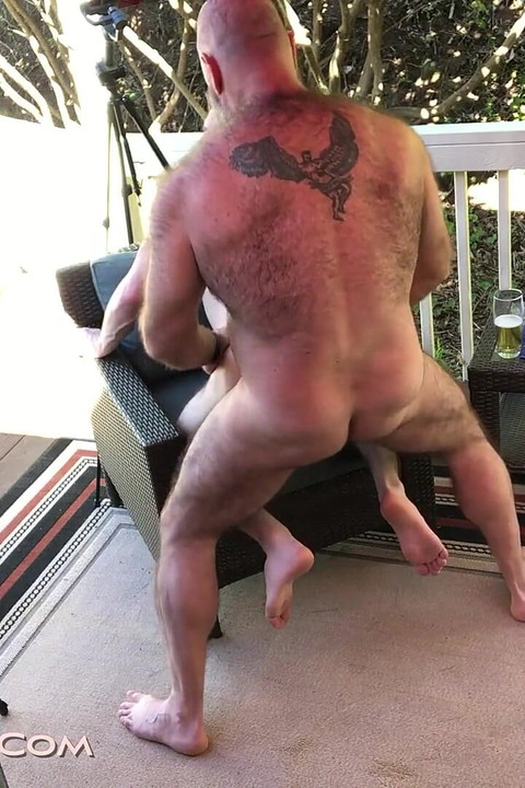 Bear Bait