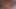 Mature Milf Chubby bbw Double Penetration