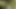 cumpilation