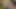 Granny Velma Dinkley: a Slutty Sleuth's Fingering, Pussy Licking & Missionary Fucking Orgasms! 8623fap