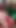 Seks oyuncağı rafında 5. gün elf | Klip 1