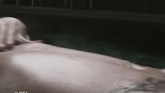 Bölüm 1 büyük çanlar.