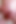 All My Cum for You Chronological Cumpilation
