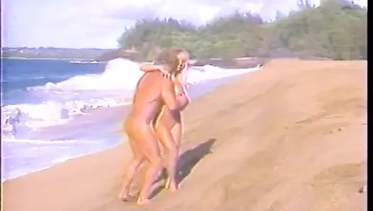Undercover-Agenten francois papillon und Kascha wurden nach Hawaii geschickt, um große Syndicate zu fangen