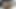 彼らは十分に大きいですか？