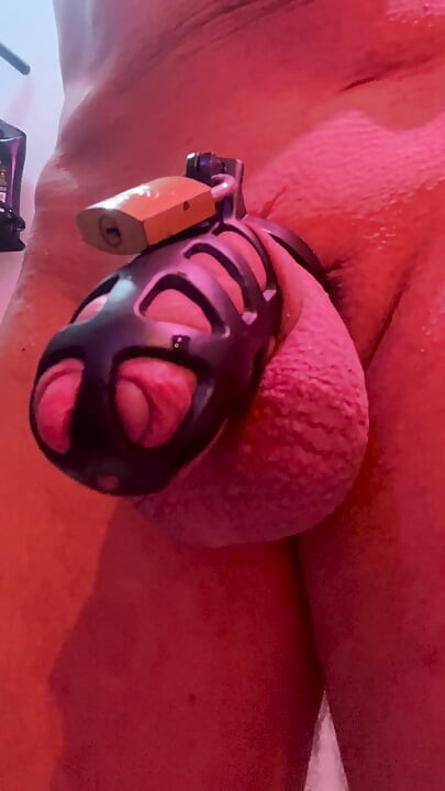 Puppy Shows Locking His Cock in Chastity After Loosing a Challenge