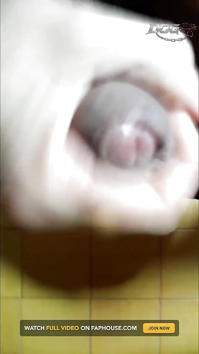 斯梅格玛与内裤完成