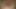I know you want my fat uncut cock