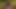 Passionate Blowjob from a Seductive Sinner, Volume 2.