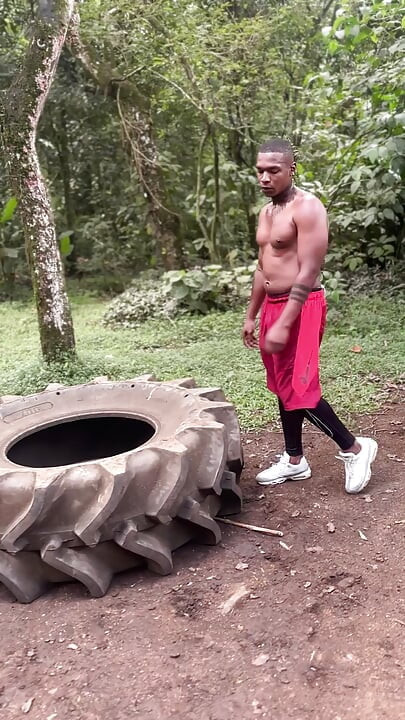 LATINO VERGON