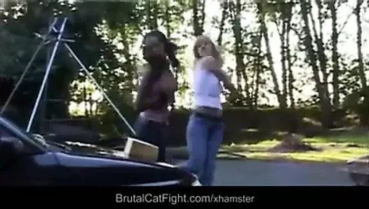 Rough catfight at a carwash