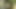 सबरीना भोर गलत महिला
