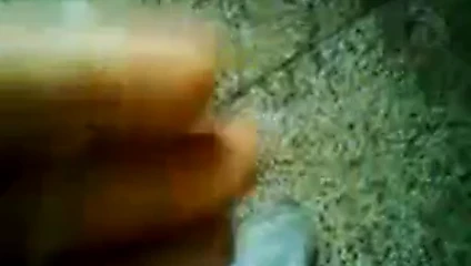 sunnypenis