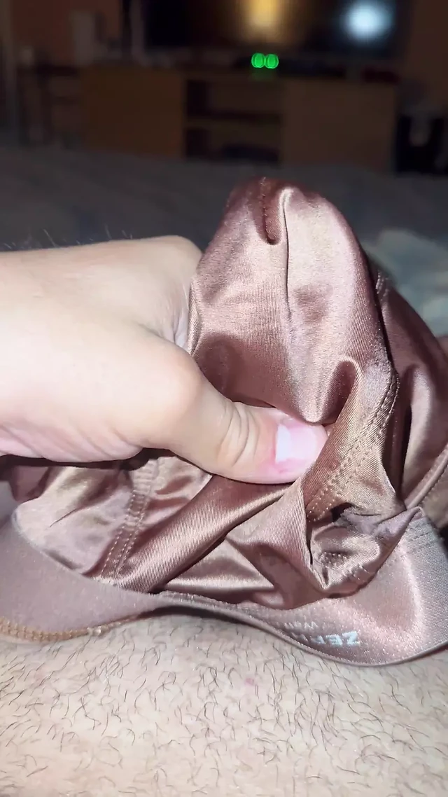 Brown Satin Panties