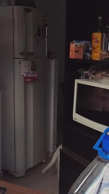 Emotional moment from "Finally caught my neighbor fully naked"