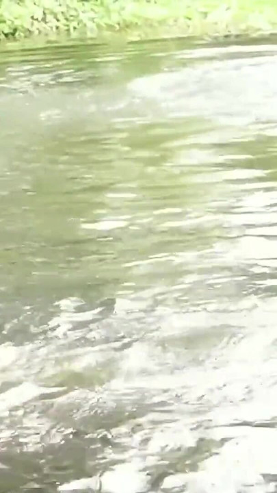 Jaw-dropping moment from "A SEXY COUPLE SHOWER IN RAIN FULL OUTDOOR SEX, HARDCORE SEX"