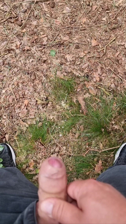 شاعر المليون في الغابة